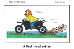 A Real Tread Setter