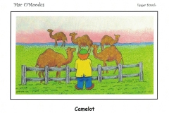 Camelot