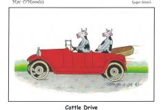 Cattle-Drive