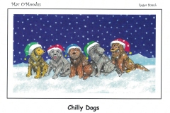 Chilly-Dogs