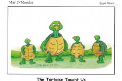 The-Tortoise-Taught-Us