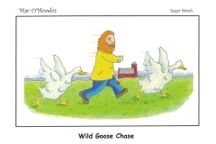 Wild-Goose-Chase