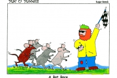 A Rat Race